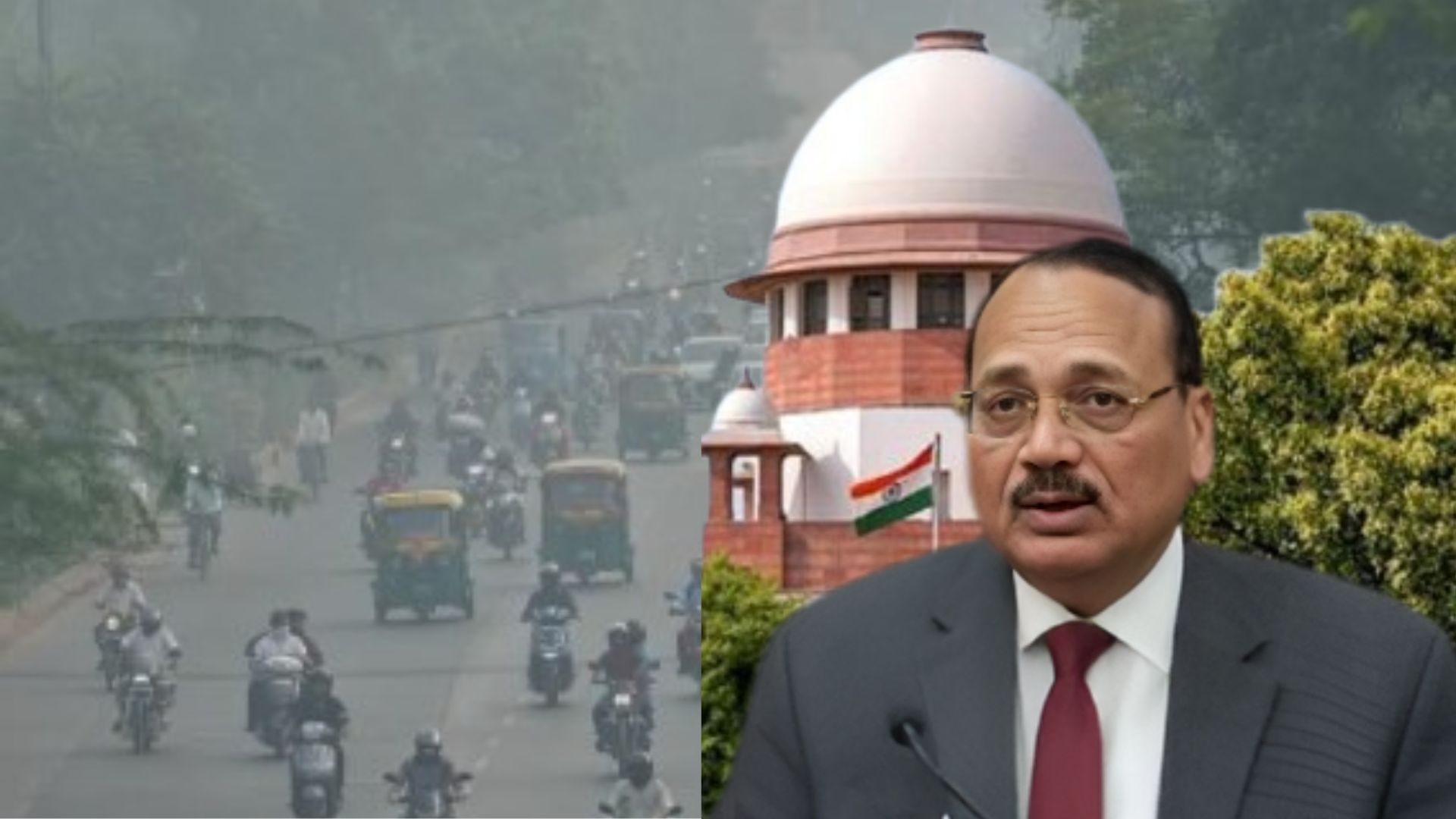 Untitled design (12)